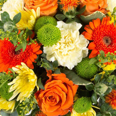 Florist's Choice Vase Arrangement Peak Time