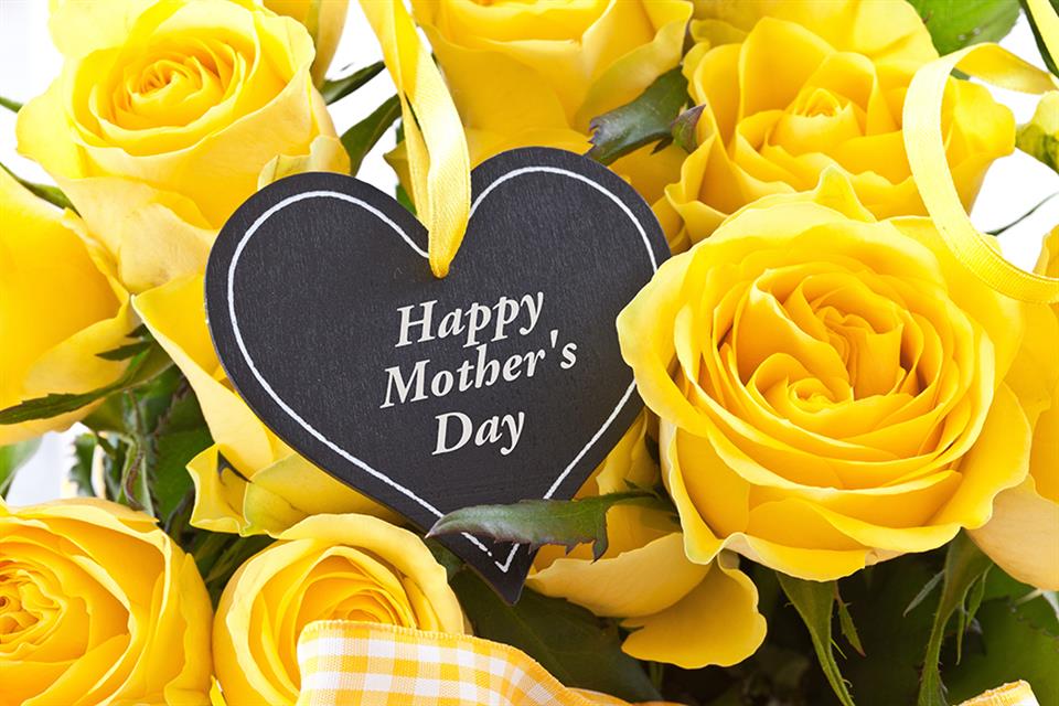 Lindsay Barrow Designer Florist