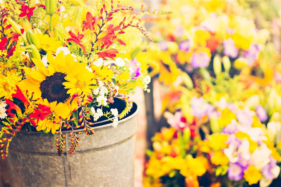 Lindsay Barrow Designer Florist