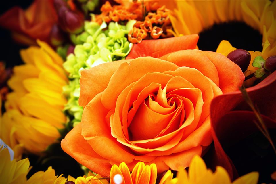 Lindsay Barrow Designer Florist