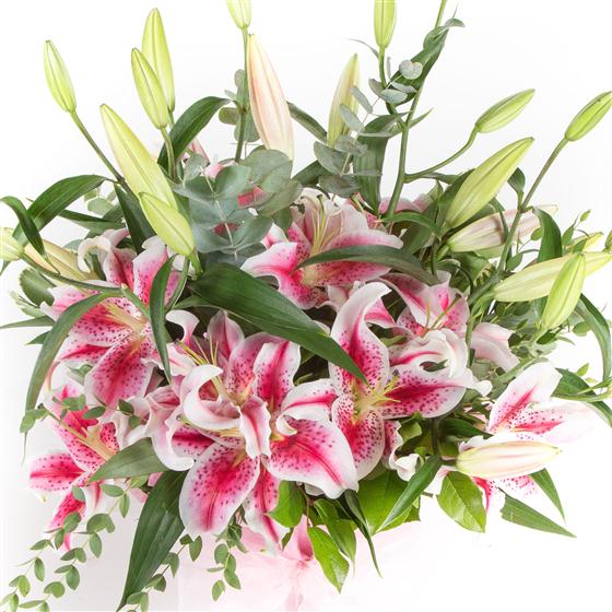 Pink Lilies Lindsay Barrow Designer Florist Hawkhurst